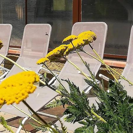 Apartamento Le Colombaie